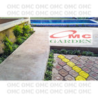 Lili Paris Siam Mini Tanaman HIas Rumput Bordir List Lis Lily Tricolor Hijau Spider Plant