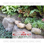 Lili Paris Siam Mini Tanaman HIas Rumput Bordir List Lis Lily Tricolor Hijau Spider Plant