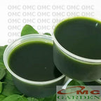 Bibit Cincau Hijau Tanaman Minuman Obat Herbal Stek Batang