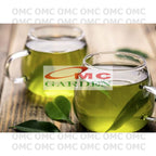 Bibit Pohon Daun Sirih Hijau Tanaman Hias Minuman Obat Herbal DS-1020
