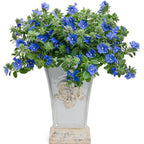 Tanaman Hias Baby Blue Eyes Nemophila Menziesii Star Gantung Mata Biru Bibit Bunga 1015