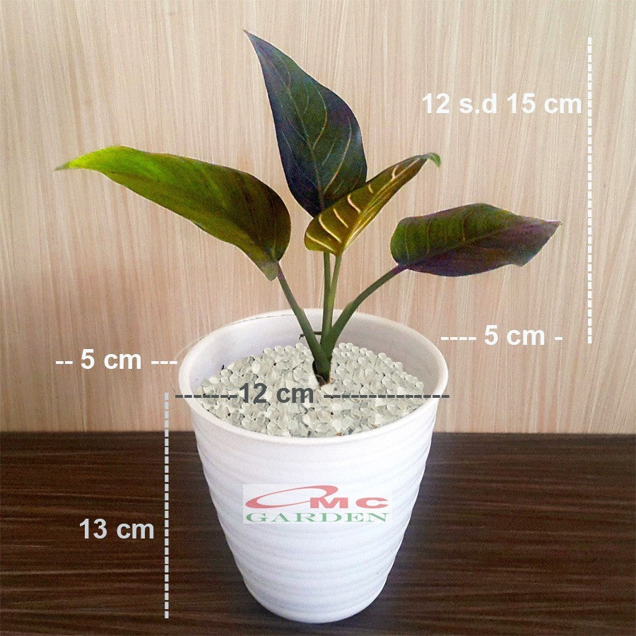 Pot Tanaman Hias Bunga Bonsai Sukulen Bulat Tawon Putih Plastik T-13