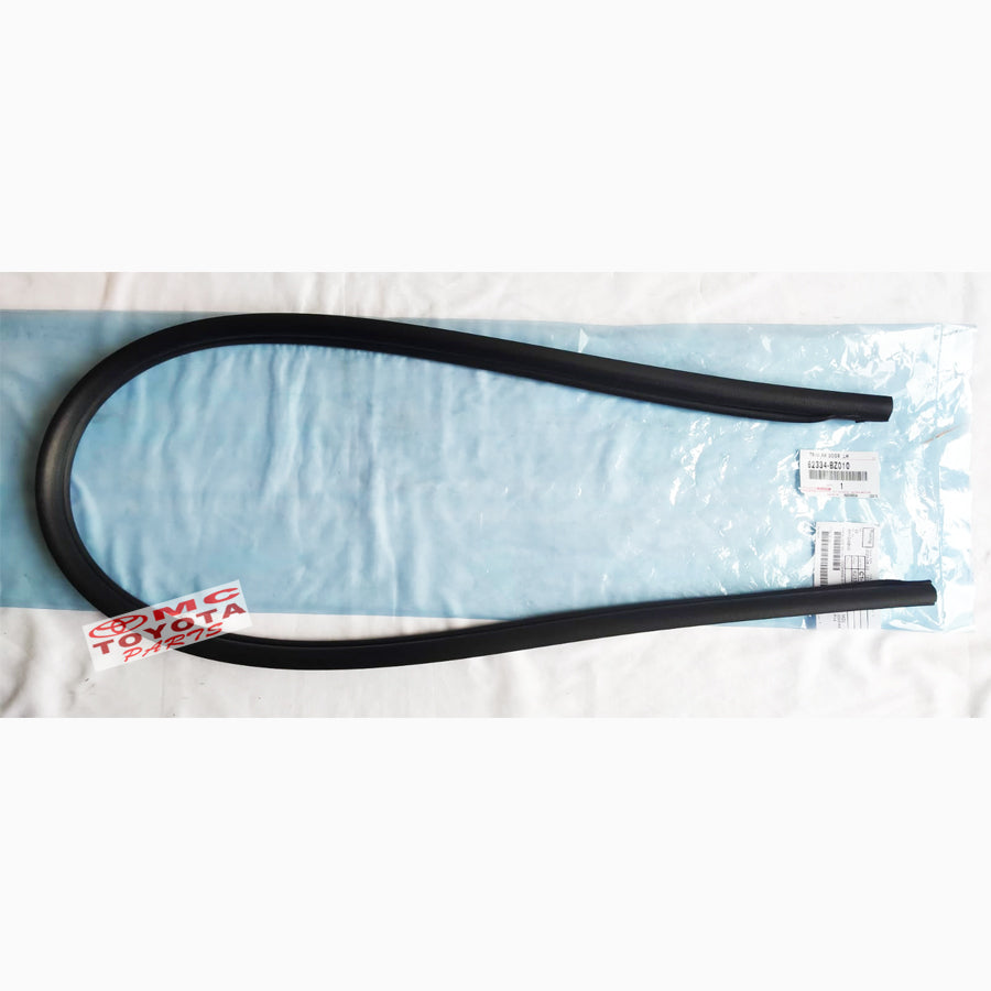 Karet Body Pintu Belakang Kiri Rush Terios 62334-BZ010
