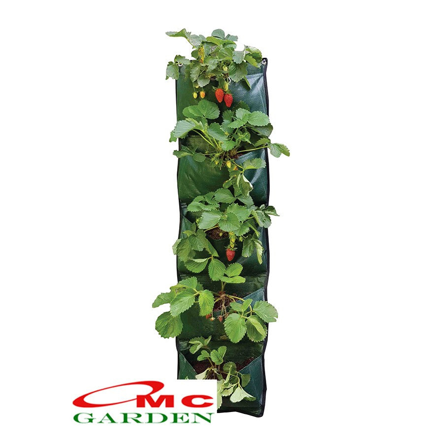 Wall Planter Bag Polybag Dinding Easy Grow Pot Bunga Hias 5 Kantong