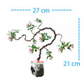 Bonsai Sakura Mikro Jepang Pohon Bonsae Mame Tanaman Hias Berbunga