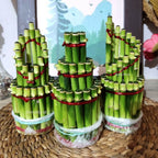 Pohon Bambu Hoki Hockey Sri Rejeki Lucky Bamboo Air Bambu Cina Bibit Tanaman Hias 1020 - 15-20 cm