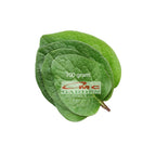 Daun Binahong Merah Hijau Tanaman Piahong Obat Herbal Organik Segar Fresh Tanpa Pestisida 100 Gram