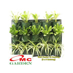 Wall Planter Bag Tas Polybag Dinding Easy Grow Vertikal Garden Pot Wadah Tanaman Bunga Hias Gantung 15 Kantong