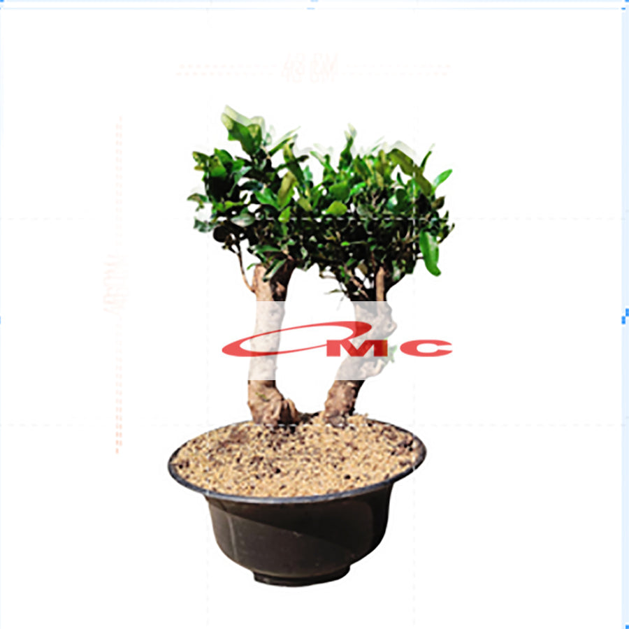Pot Tanaman Hias Bunga Bonsai Bulat Plastik Hitam   37cm