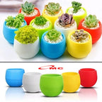 Pot Bulat Mini Self Watering Pot Bunga Warna Warni Pot Plastik Tanaman Hias Pot Bola Telur Sukulen Sekulen Kaktus Katus Vas Bunga Shabby Vintage Dekor