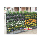 Wall Planter Bag Polybag Dinding Easy Grow Pot Bunga Hias 12 Kantong