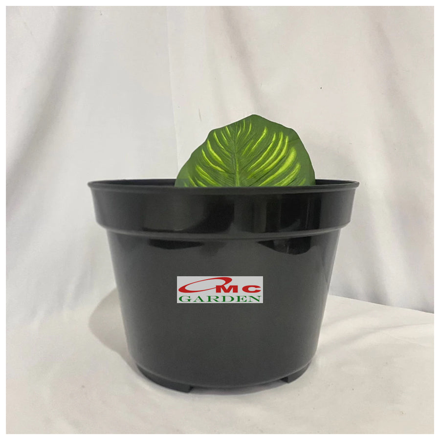Pot Tanaman Hias Bunga Bonsai Hitam Plastik Jumbo 30cm