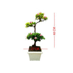 Tanaman Hias Bonsai Mame Soka Mini Asoka Jepang Ixora Pink B-SMP-009